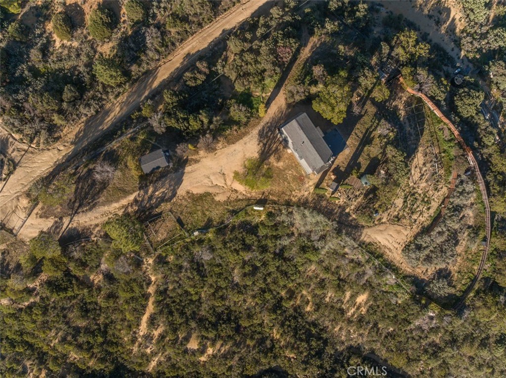 51201 Deer Mountain Way Anza, CA 92539 - Photo 65 of 65 a view of a tree in a yard
