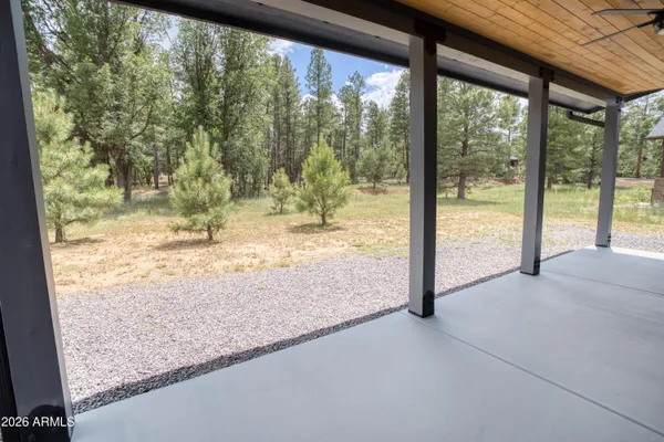 a view of a yard from a window