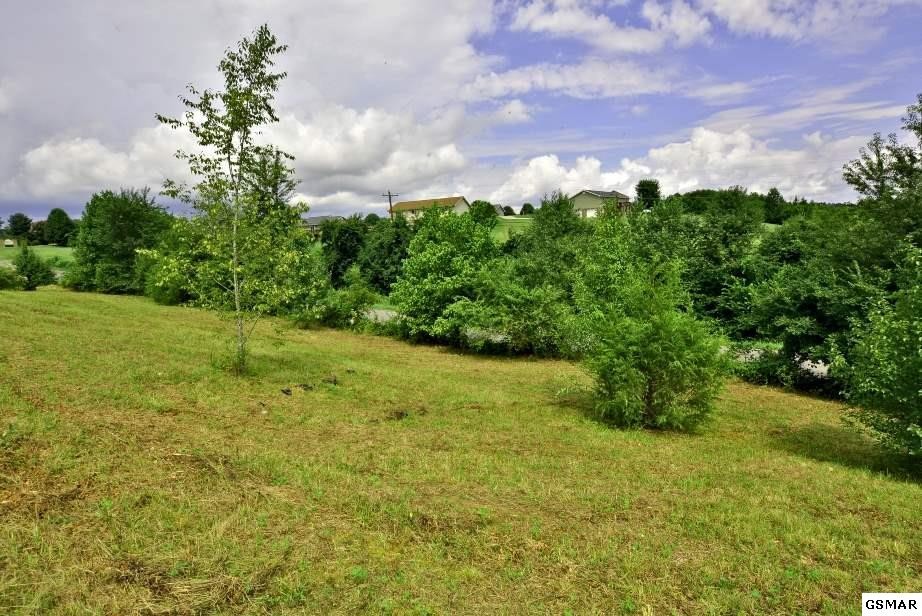 1819 Edwina Bridgeport Road Newport, TN 37821 - Photo 6 of 15 Gallery Image 6