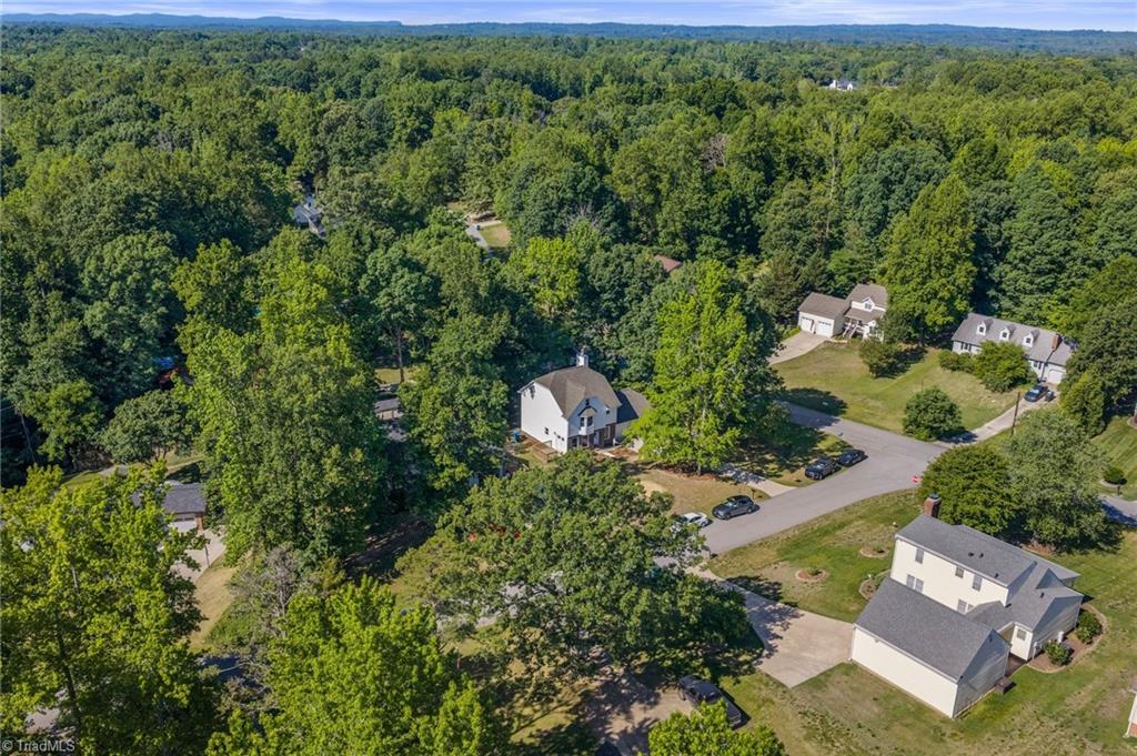 119 Brandon Lane Trinity, NC 27370 - Photo 46 of 46