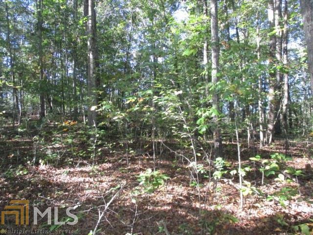1359 Old Mill Road Ball Ground, GA 30107 - Photo 1 of 1 Gallery Image 1