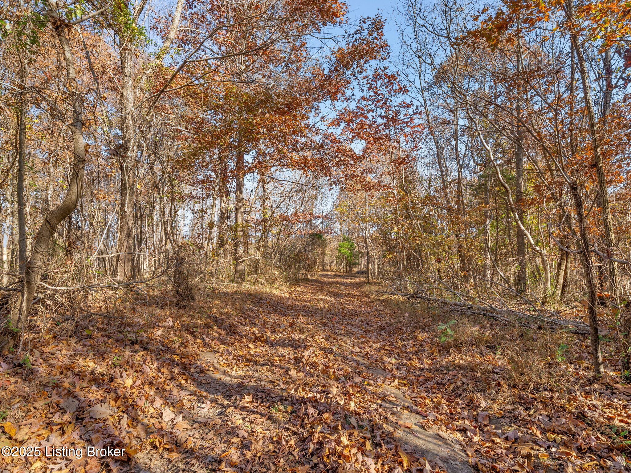 0 Beckye Lane Hanson, KY 42413 - Photo 26 of 67 68-web-or-mls-beckye-ln