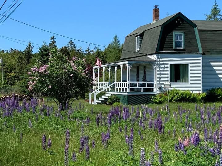 30 Dog Point Road Cranberry Isles, ME 04625 - Photo 13 of 14 30 Dog Point Road