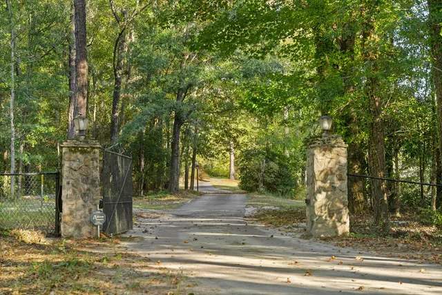 a view of lake with a tree