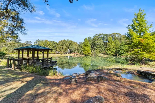 a view of a trees in a yard