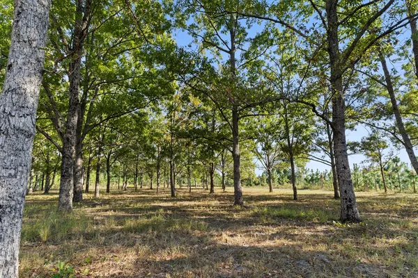 $1,200,000 | 1163 Highway 0165 Fort, Fort Mitchell, AL 36856
