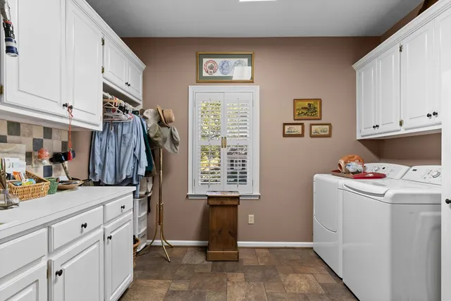 a living room with furniture flowerpot and a rug