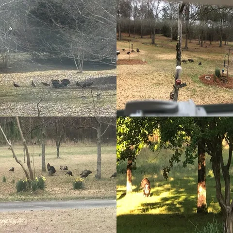 $1,200,000 | 1163 Highway 0165 Fort, Fort Mitchell, AL 36856