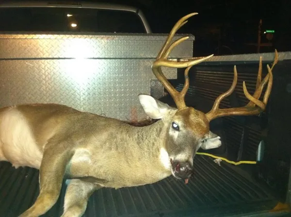 $1,200,000 | 1163 Highway 0165 Fort, Fort Mitchell, AL 36856