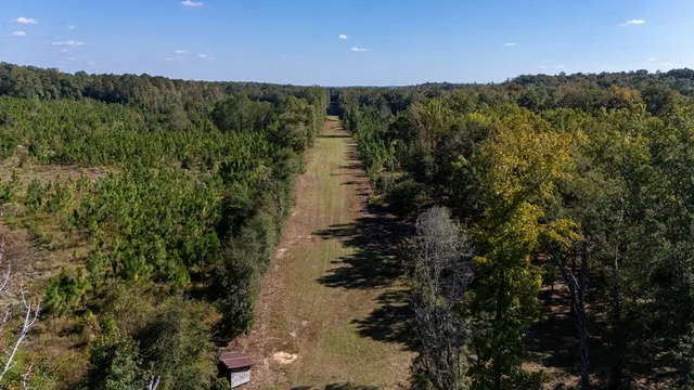 a view of a lake with a mountain in the background