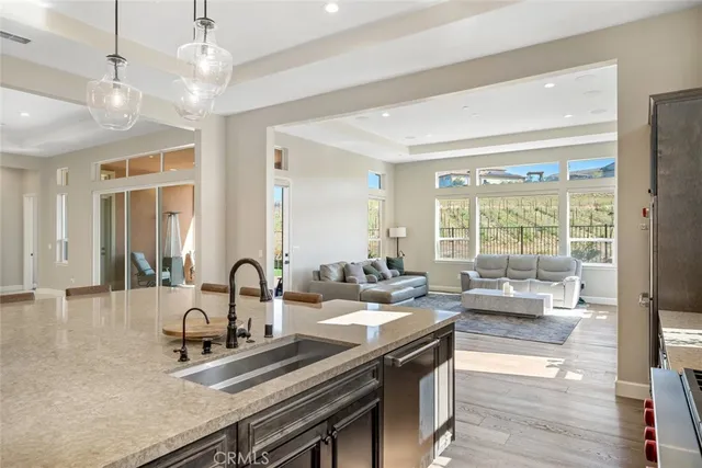 a view of a couches with potted plants in front of door