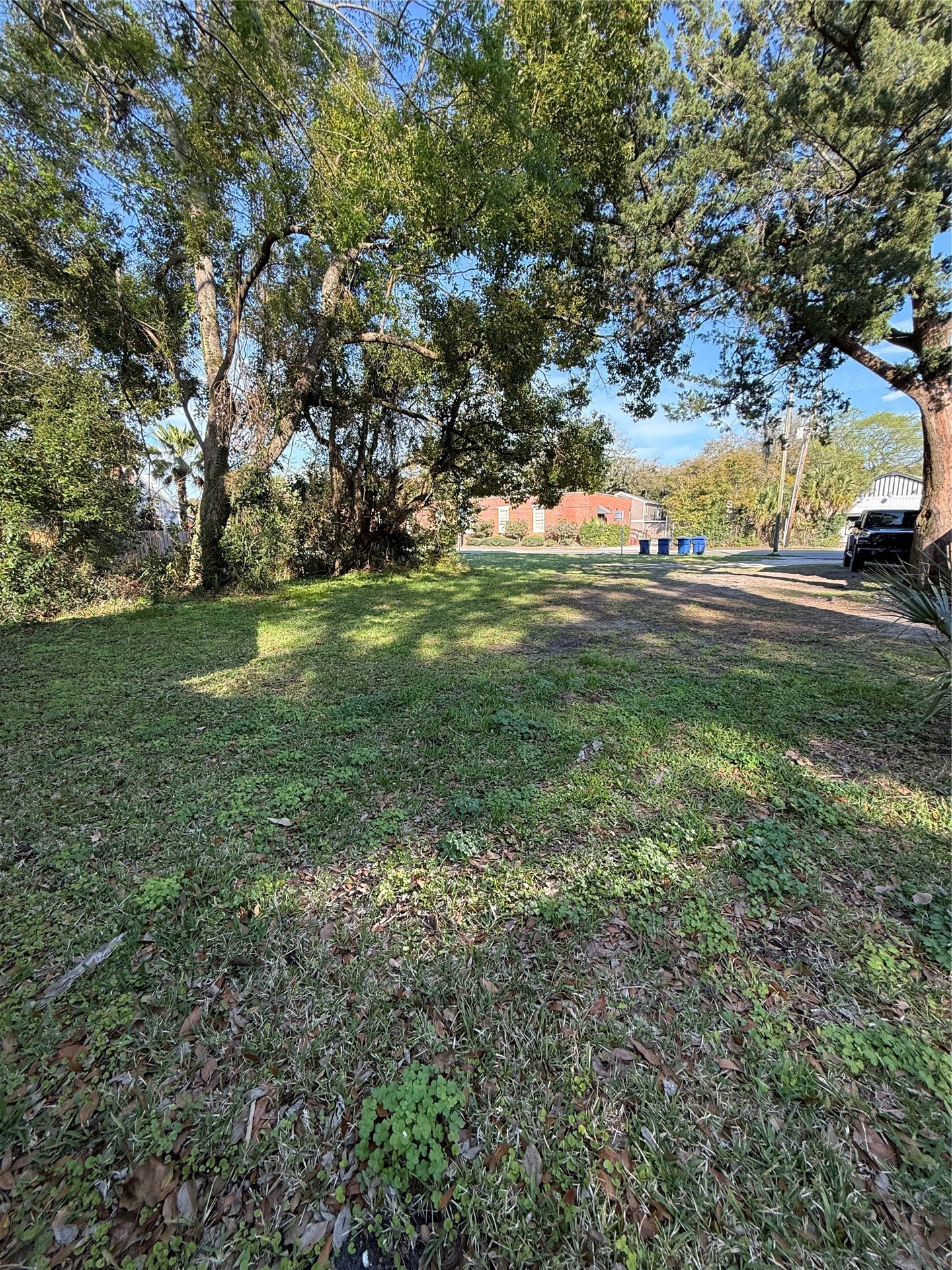 111 South 8th Street Fernandina Beach, FL 32034 - Photo 3 of 3 a view of a trees in a yard