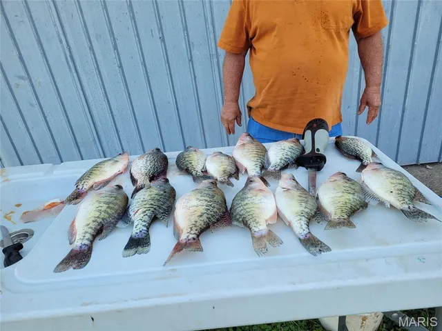 $275,000 | 18904 Monroe Road, Perry, MO 63462