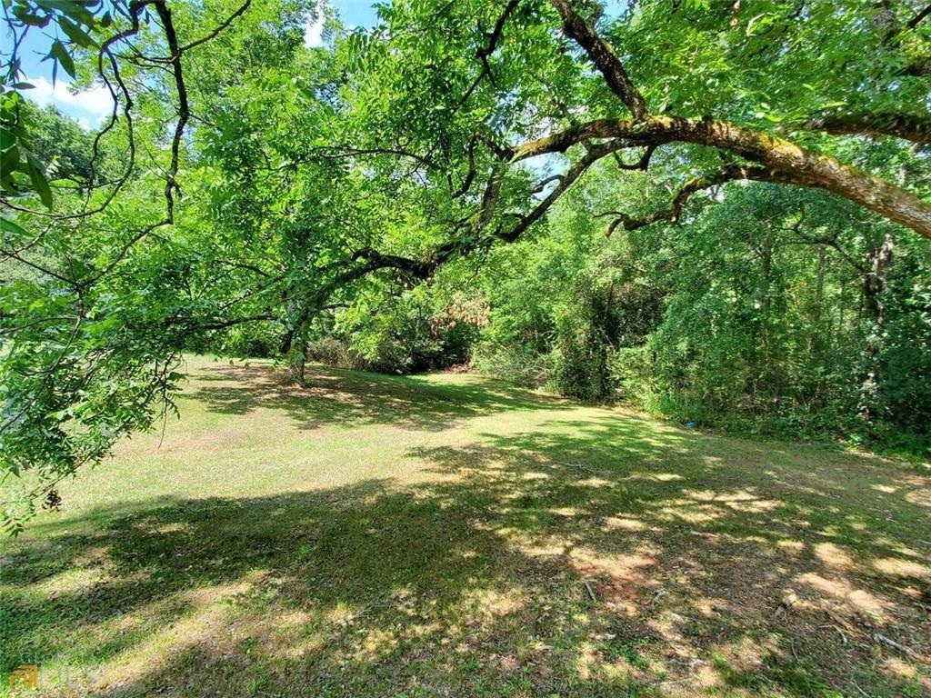 705 Triune Mill Road Thomaston, GA 30286 - Photo 33 of 39 a view of outdoor space and yard