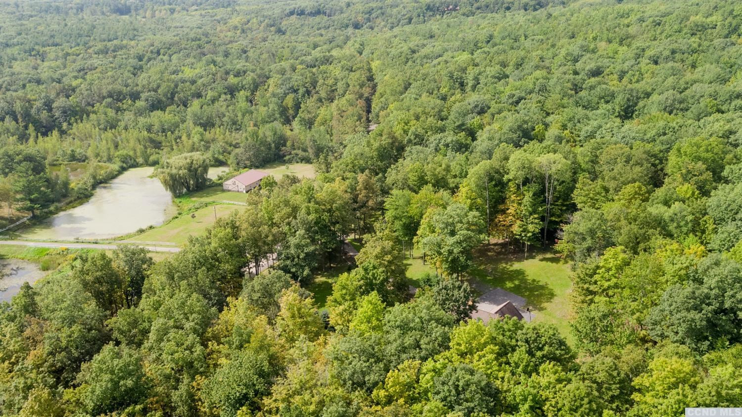 375 Morrison Road Acra, NY 12405 - Photo 5 of 10 Photo 5
