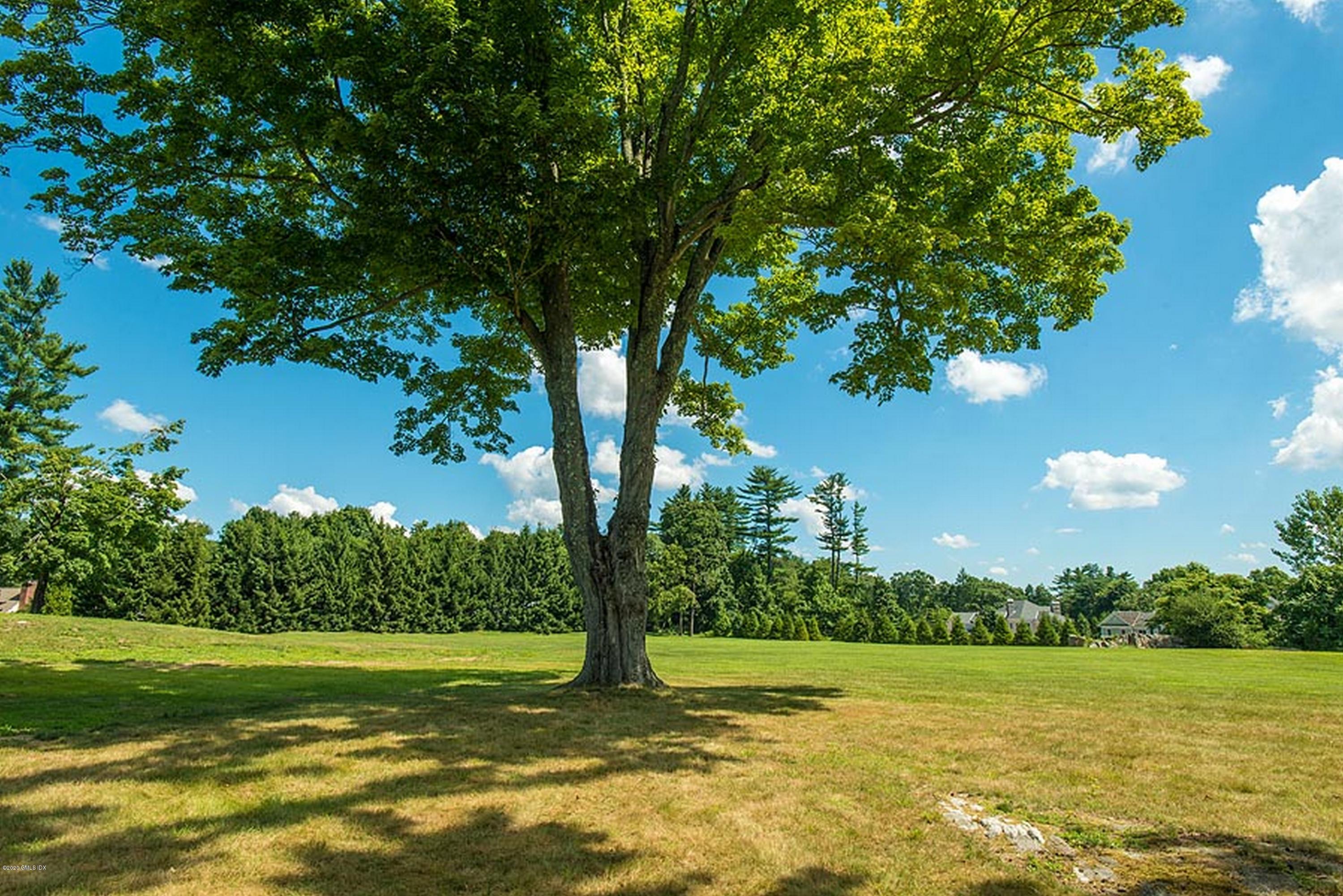 137 Doubling Road Greenwich, CT 06830 - Photo 11 of 12 a view of a field with an trees