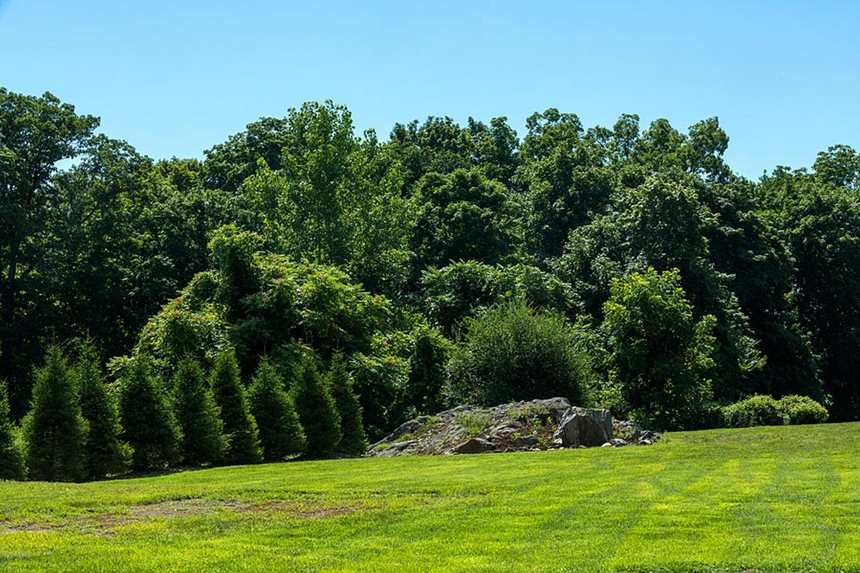 137 Doubling Road Greenwich, CT 06830 - Photo 6 of 12 a view of green field with trees in the background