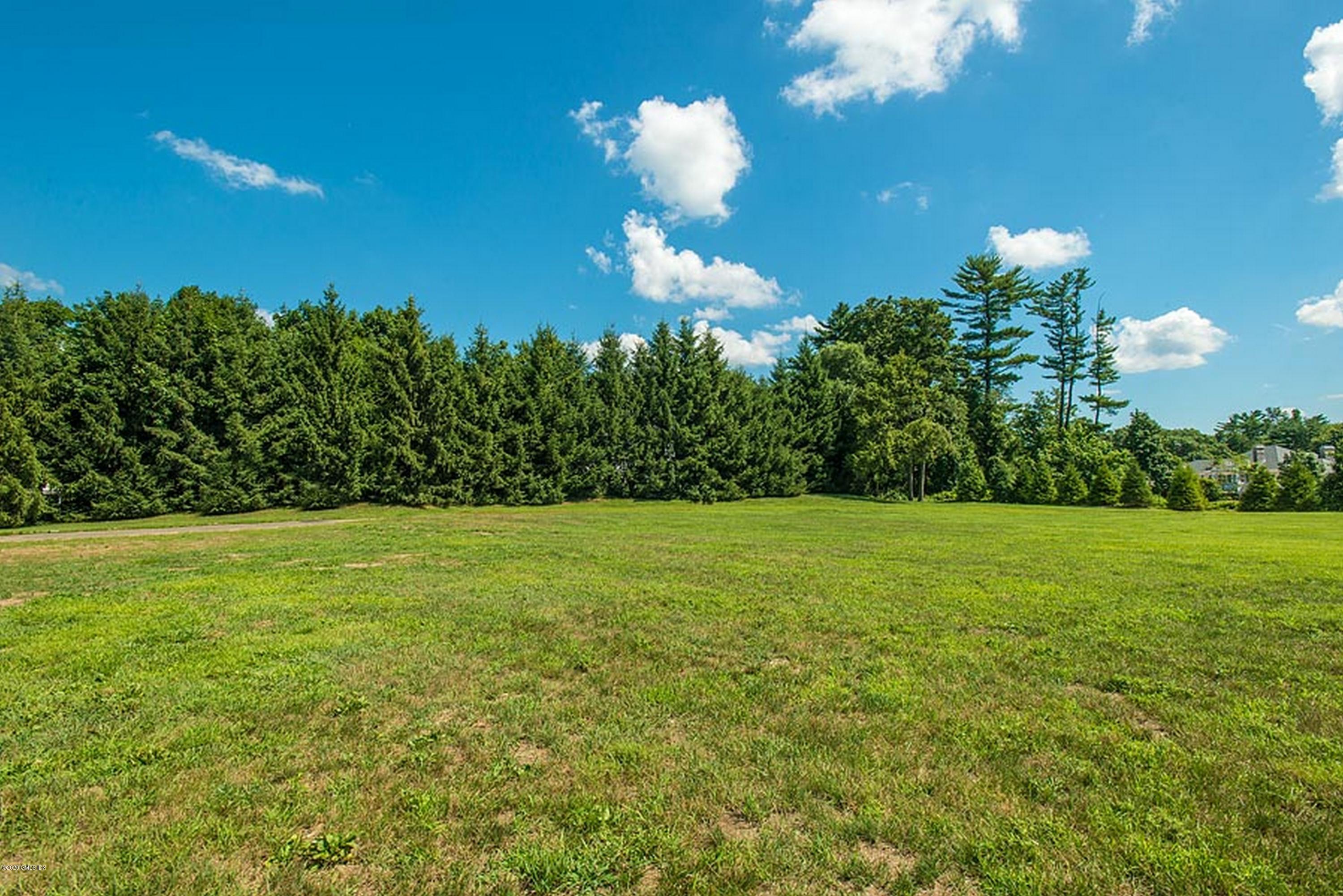 137 Doubling Road Greenwich, CT 06830 - Photo 7 of 12 a view of a big yard