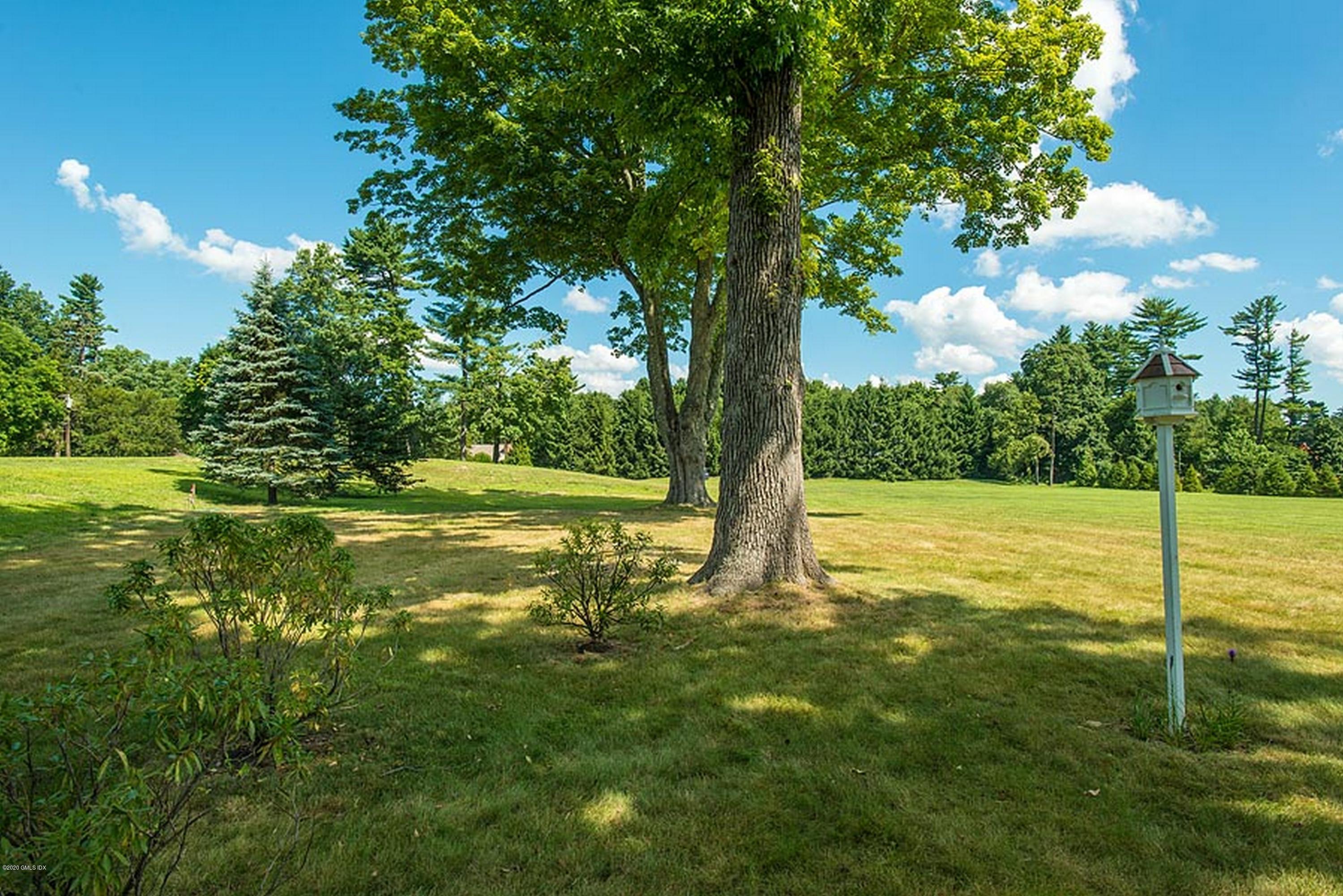 137 Doubling Road Greenwich, CT 06830 - Photo 10 of 12 a view of a garden with a tree