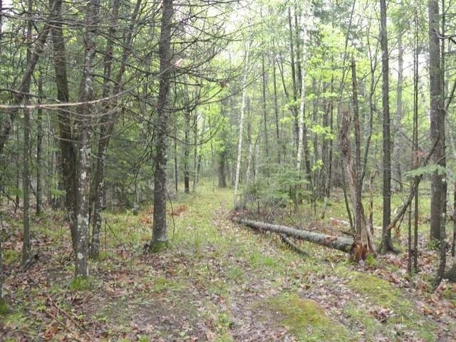 Lot 25 Garrett's Trail Rhinelander, WI 54501 - Photo 7 of 9 Gallery Image 7