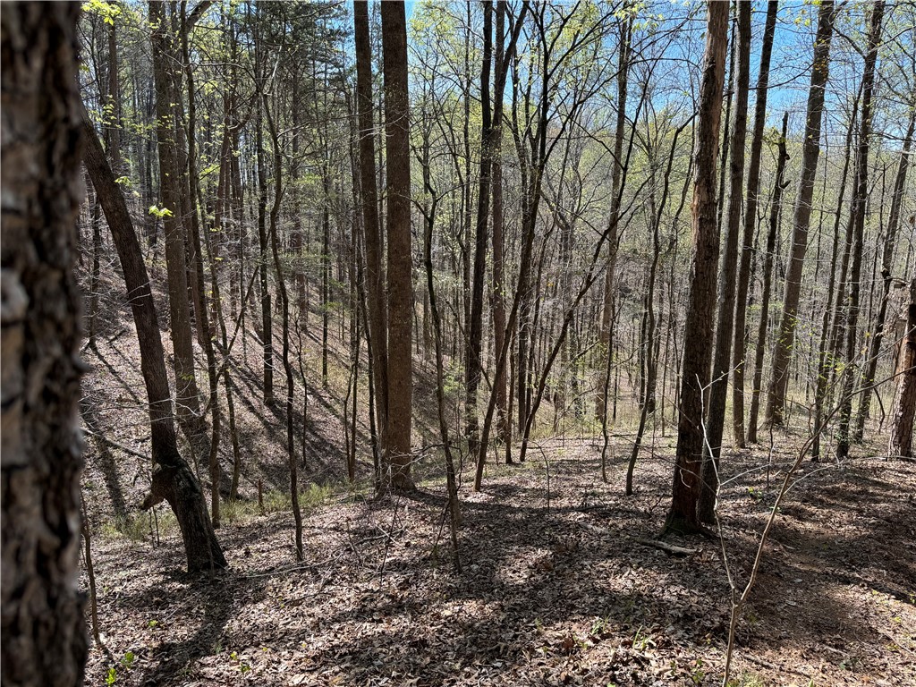 803 Ruby Shoals Road Westminster, SC 29693 - Photo 2 of 8