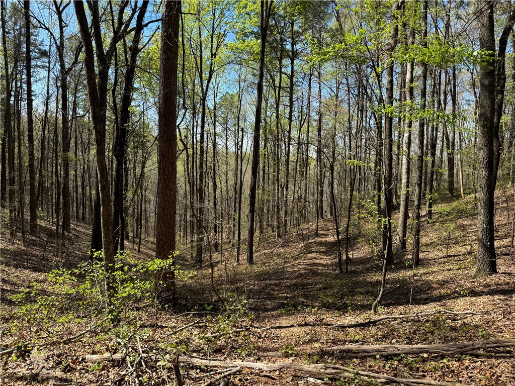 803 Ruby Shoals Road Westminster, SC 29693 - Photo 3 of 8