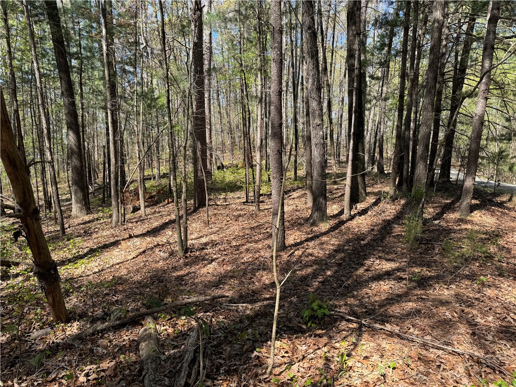 803 Ruby Shoals Road Westminster, SC 29693 - Photo 5 of 8