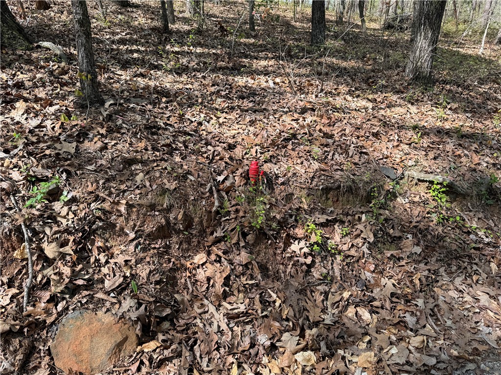 803 Ruby Shoals Road Westminster, SC 29693 - Photo 6 of 8 Survey stake located at end of property down Ruby
