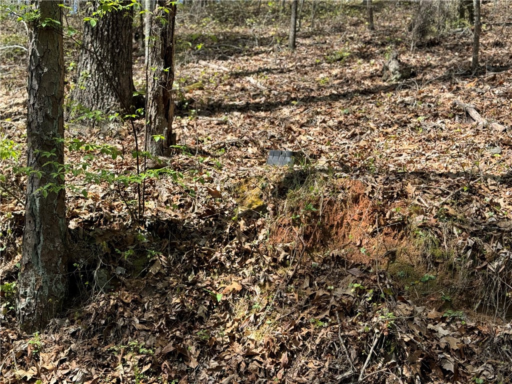803 Ruby Shoals Road Westminster, SC 29693 - Photo 7 of 8 Water access off Cobb Bridge Rd