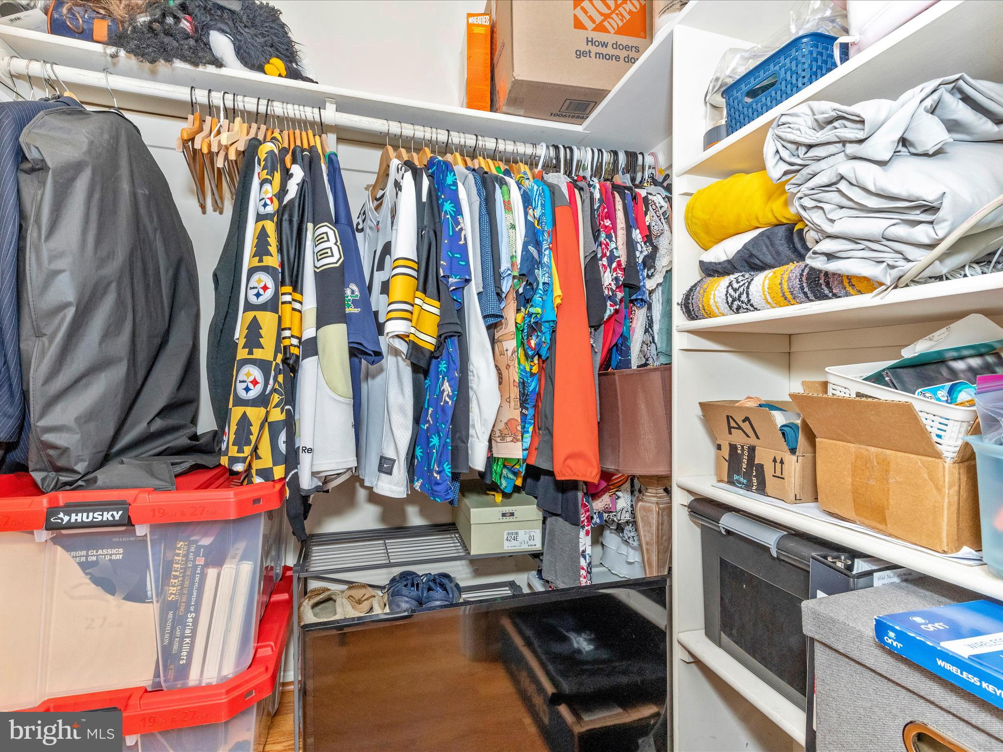 7050 Basswood Road, Unit 11 Frederick, MD 21703 - Photo 34 of 59 walk in closet & pull down stairs to storage