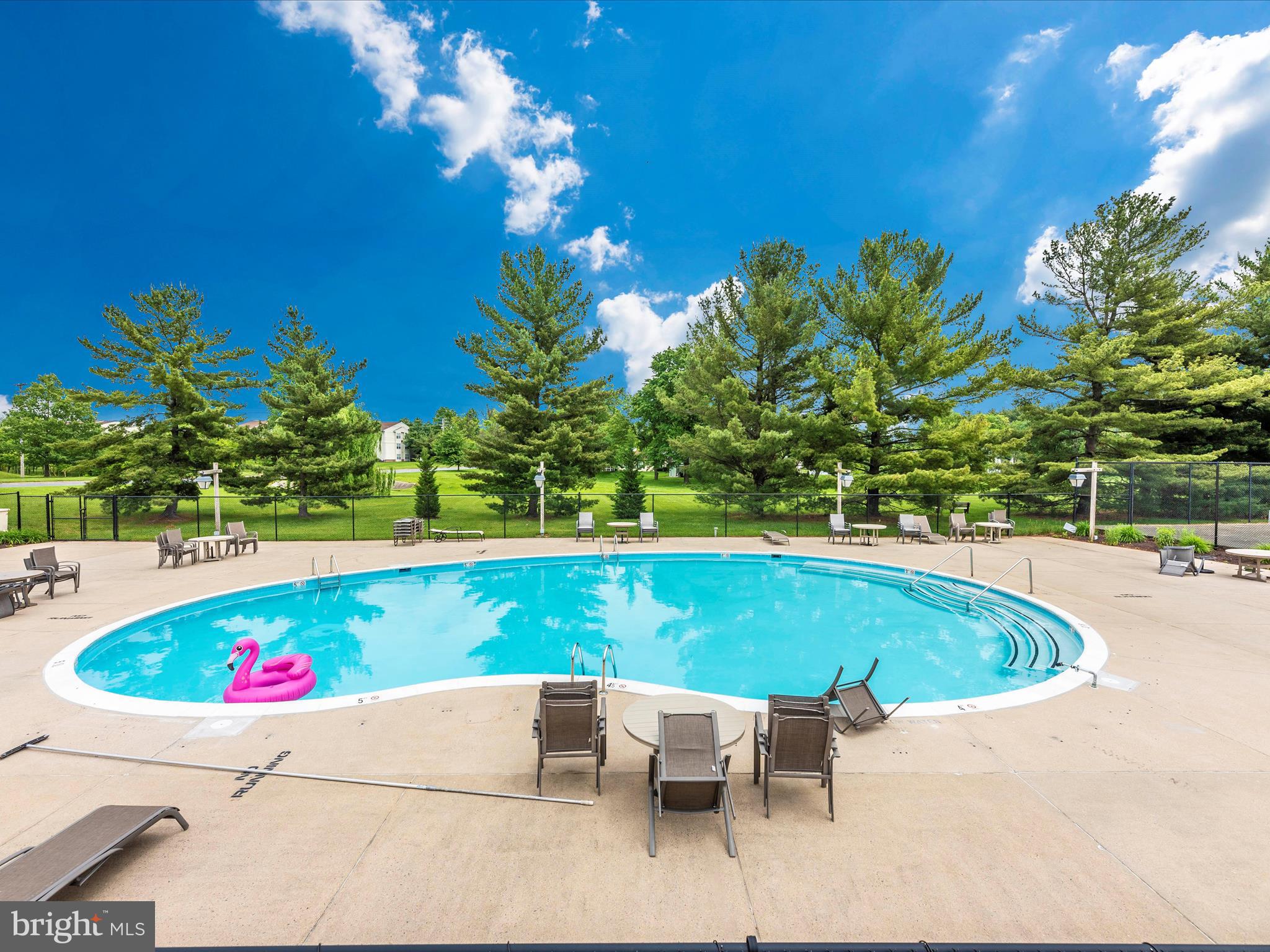 7050 Basswood Road, Unit 11 Frederick, MD 21703 - Photo 56 of 59 Large resort like pool