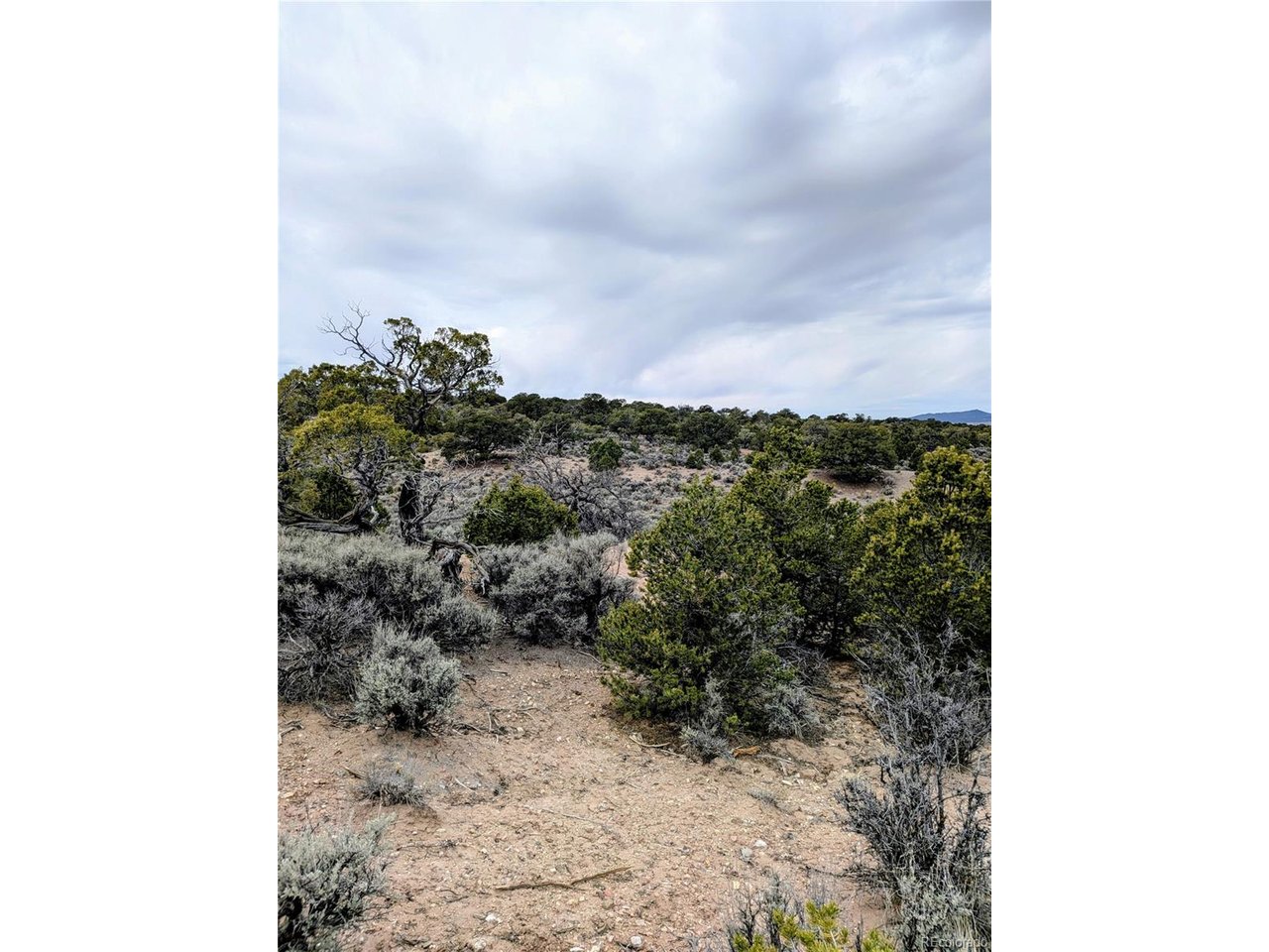 3589 Frelinghuysen Road Fort Garland, CO 81133 - Photo 3 of 9 a view of a yard with plants and wooden fence