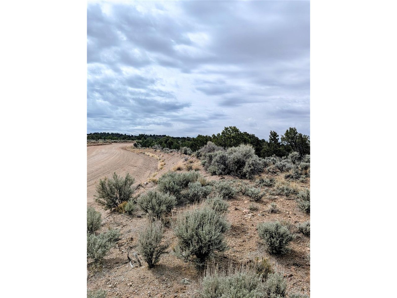 3589 Frelinghuysen Road Fort Garland, CO 81133 - Photo 4 of 9 a view of a dry yard with green space