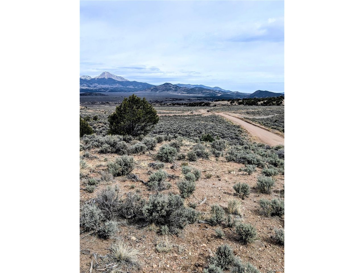 3589 Frelinghuysen Road Fort Garland, CO 81133 - Photo 5 of 9 a view of a dry yard with trees