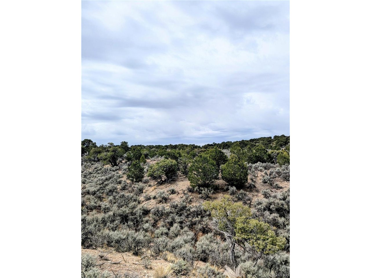 3589 Frelinghuysen Road Fort Garland, CO 81133 - Photo 6 of 9 a view of a yard