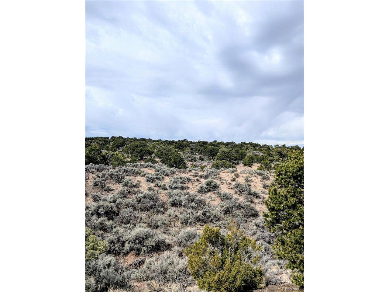 3589 Frelinghuysen Road Fort Garland, CO 81133 - Photo 7 of 9 a view of a yard