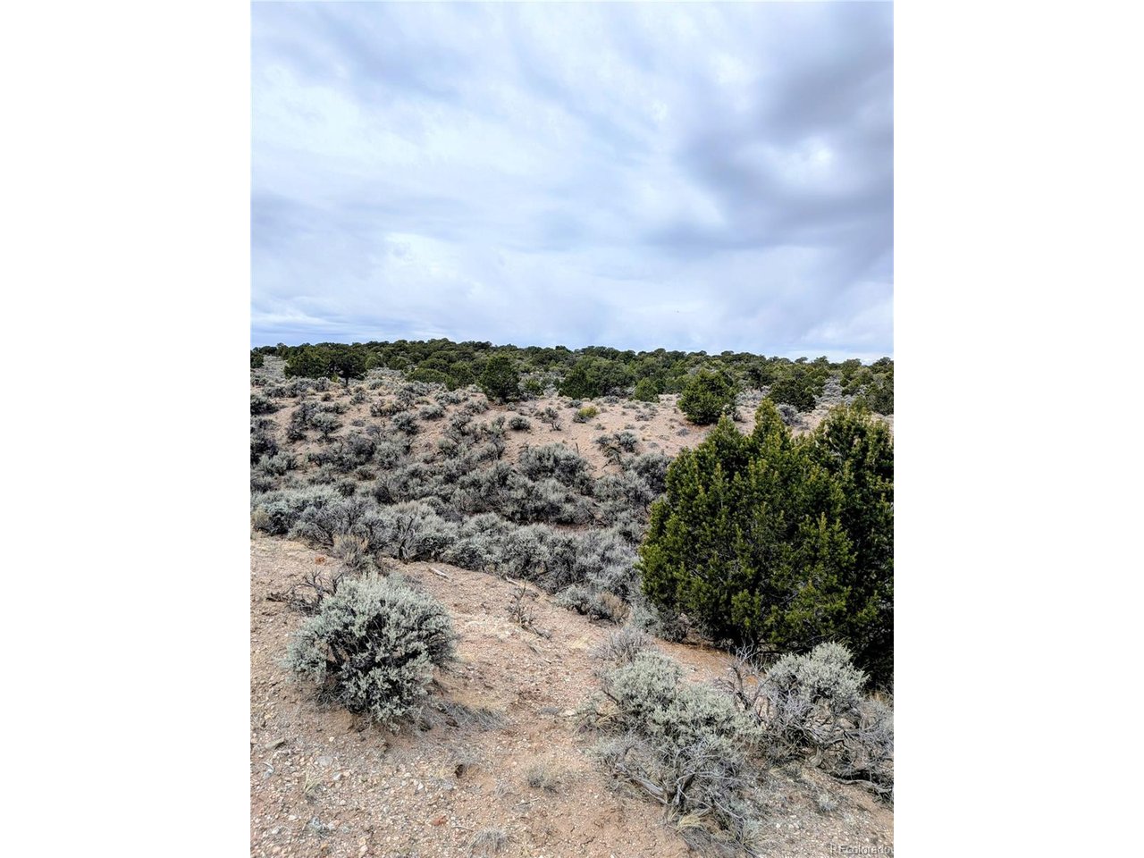 3589 Frelinghuysen Road Fort Garland, CO 81133 - Photo 8 of 9 a view of a yard