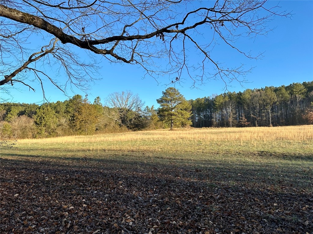 2539 Highway 28/blue Ridge Boulevard Walhalla, SC 29691 - Photo 12 of 36