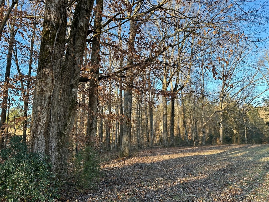 2539 Highway 28/blue Ridge Boulevard Walhalla, SC 29691 - Photo 14 of 36