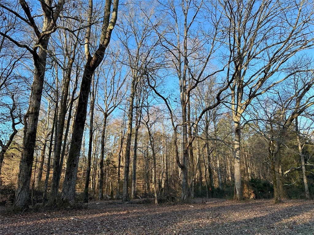 2539 Highway 28/blue Ridge Boulevard Walhalla, SC 29691 - Photo 15 of 36