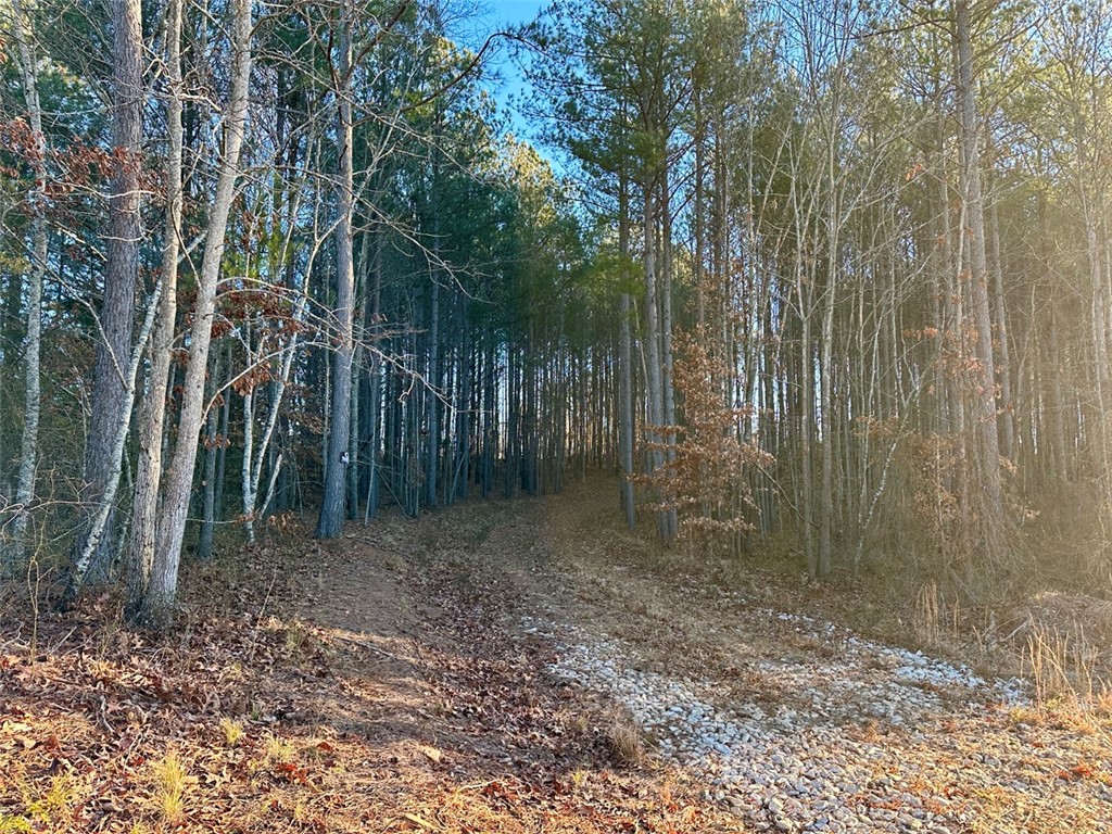 2539 Highway 28/blue Ridge Boulevard Walhalla, SC 29691 - Photo 18 of 36 Driveway to Highway 28.