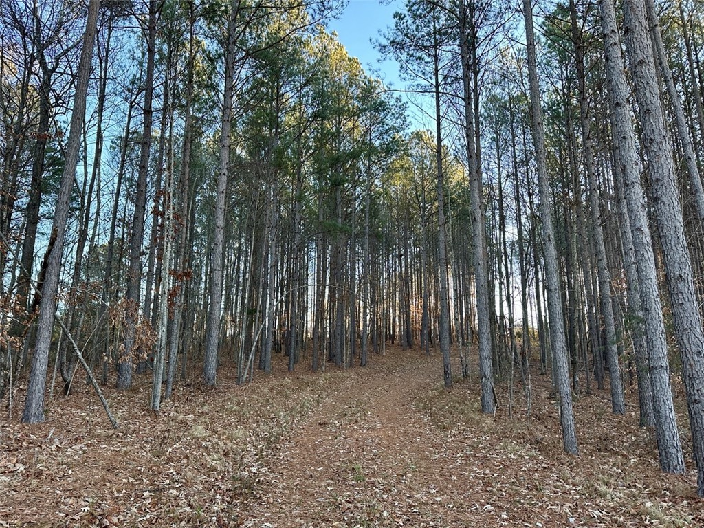 2539 Highway 28/blue Ridge Boulevard Walhalla, SC 29691 - Photo 19 of 36 Driveway to Highway 28.