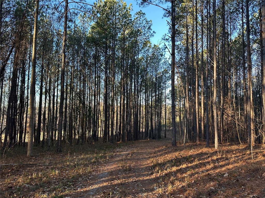 2539 Highway 28/blue Ridge Boulevard Walhalla, SC 29691 - Photo 20 of 36 Driveway to Highway 28.