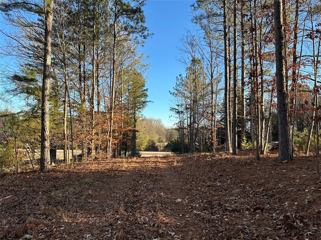 2539 Highway 28/blue Ridge Boulevard Walhalla, SC 29691 - Photo 21 of 36 Driveway to Highway 28.