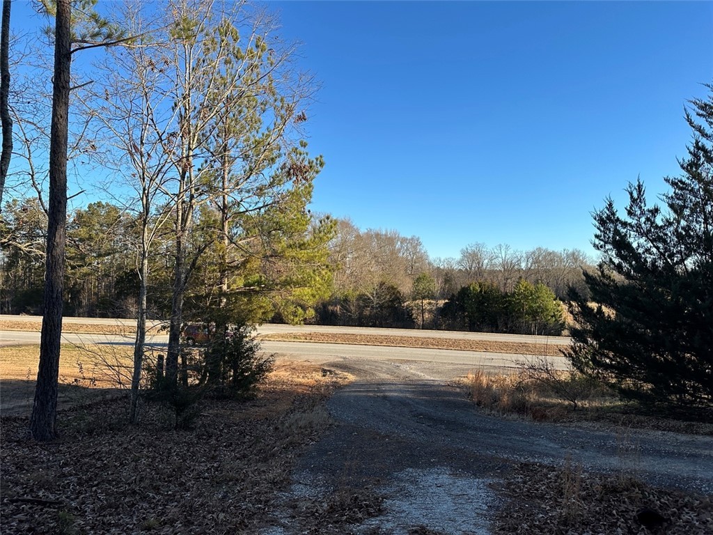 2539 Highway 28/blue Ridge Boulevard Walhalla, SC 29691 - Photo 22 of 36 Driveway to Highway 28.
