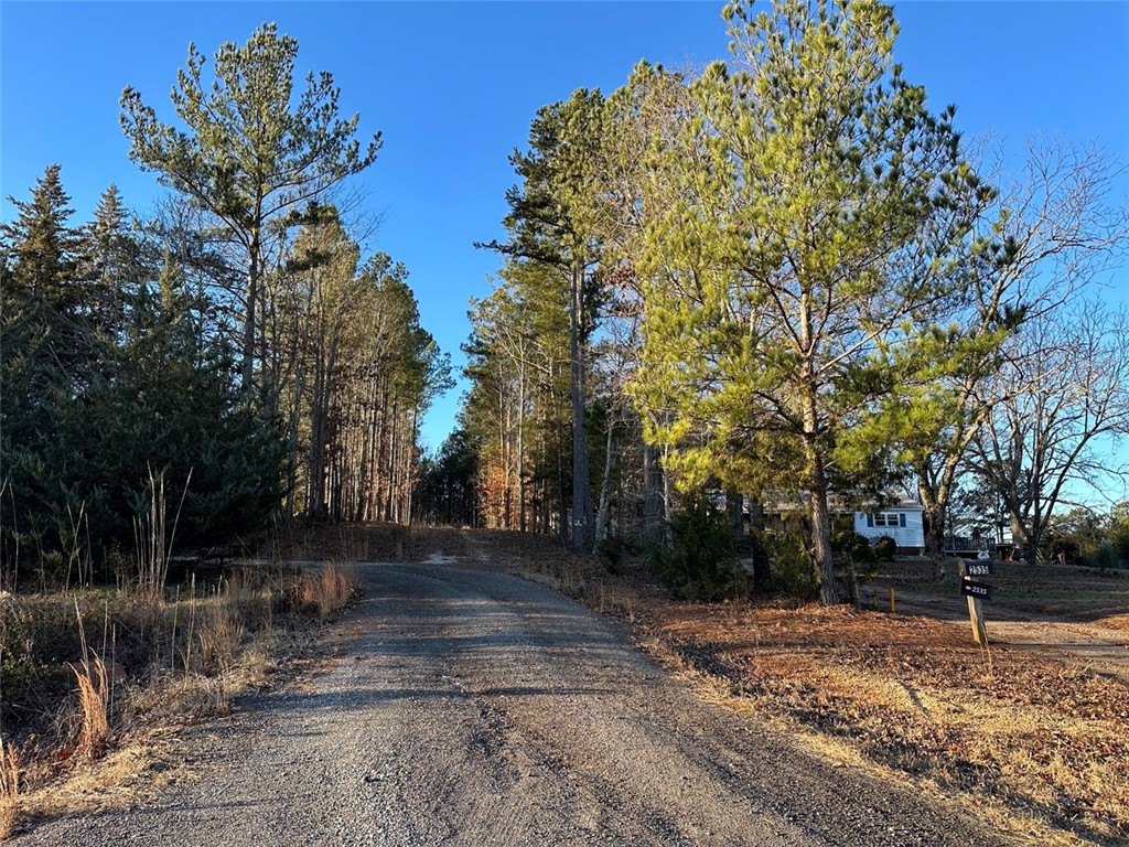 2539 Highway 28/blue Ridge Boulevard Walhalla, SC 29691 - Photo 25 of 36 Driveway from Highway 28.
