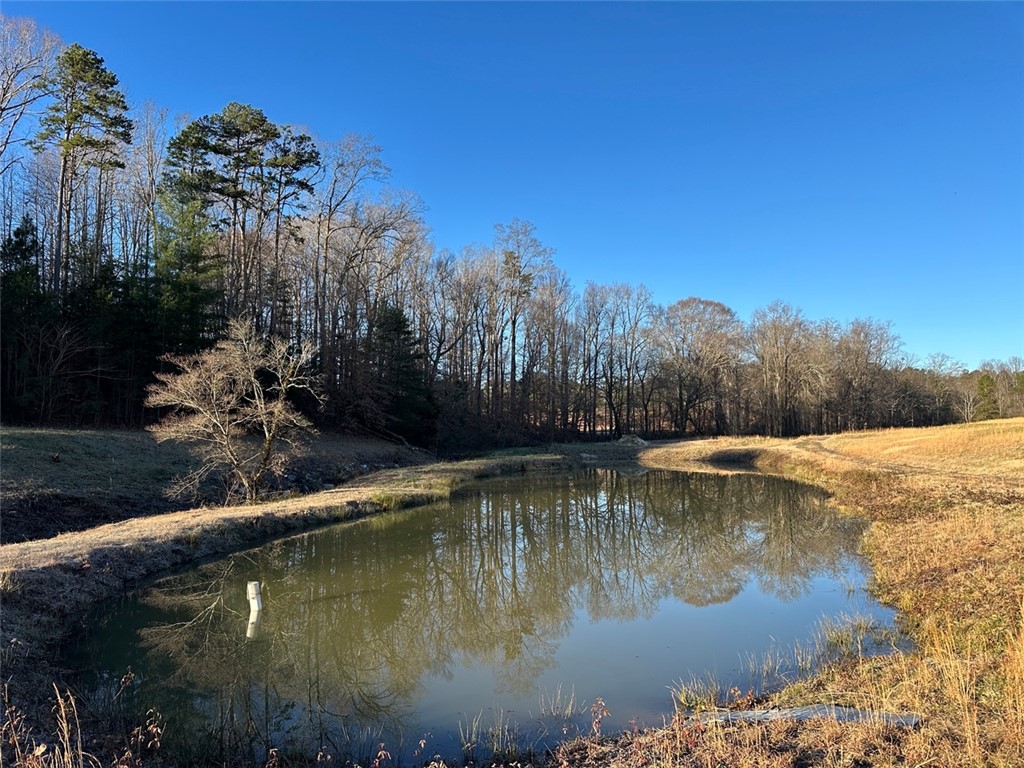 2539 Highway 28/blue Ridge Boulevard Walhalla, SC 29691 - Photo 27 of 36