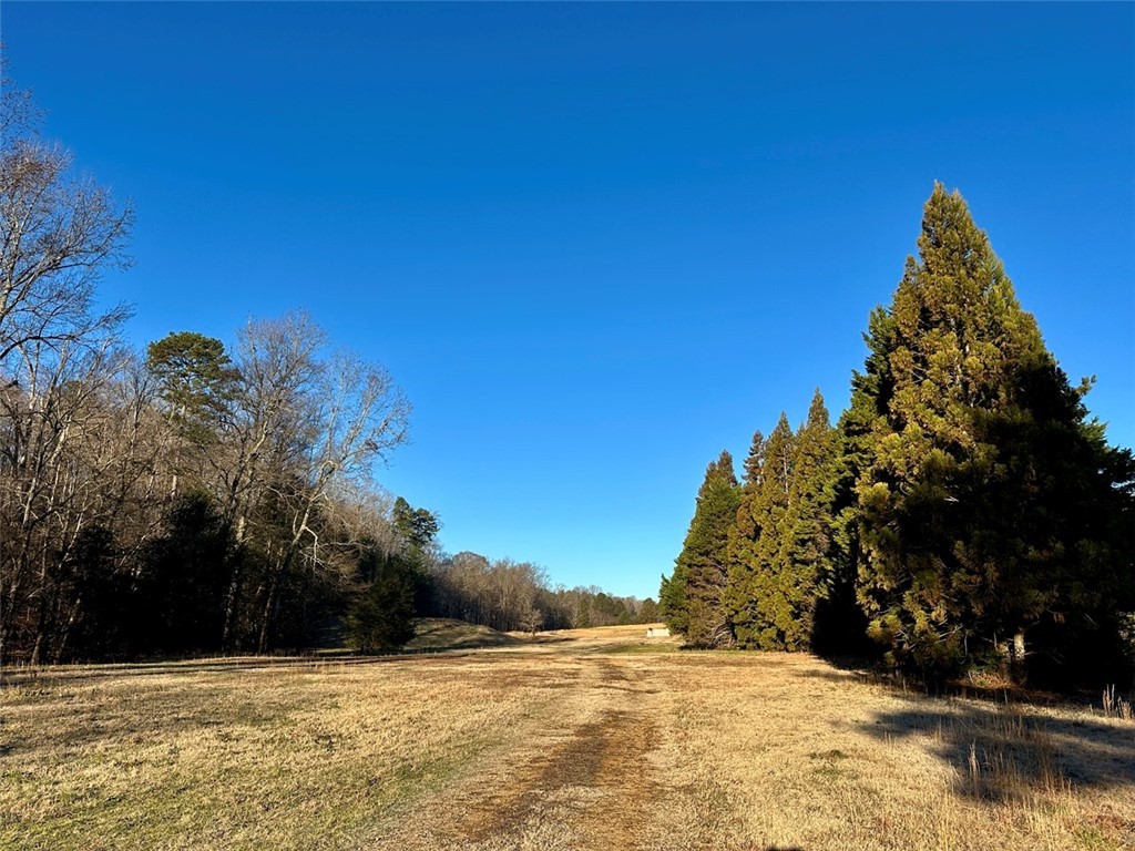 2539 Highway 28/blue Ridge Boulevard Walhalla, SC 29691 - Photo 29 of 36