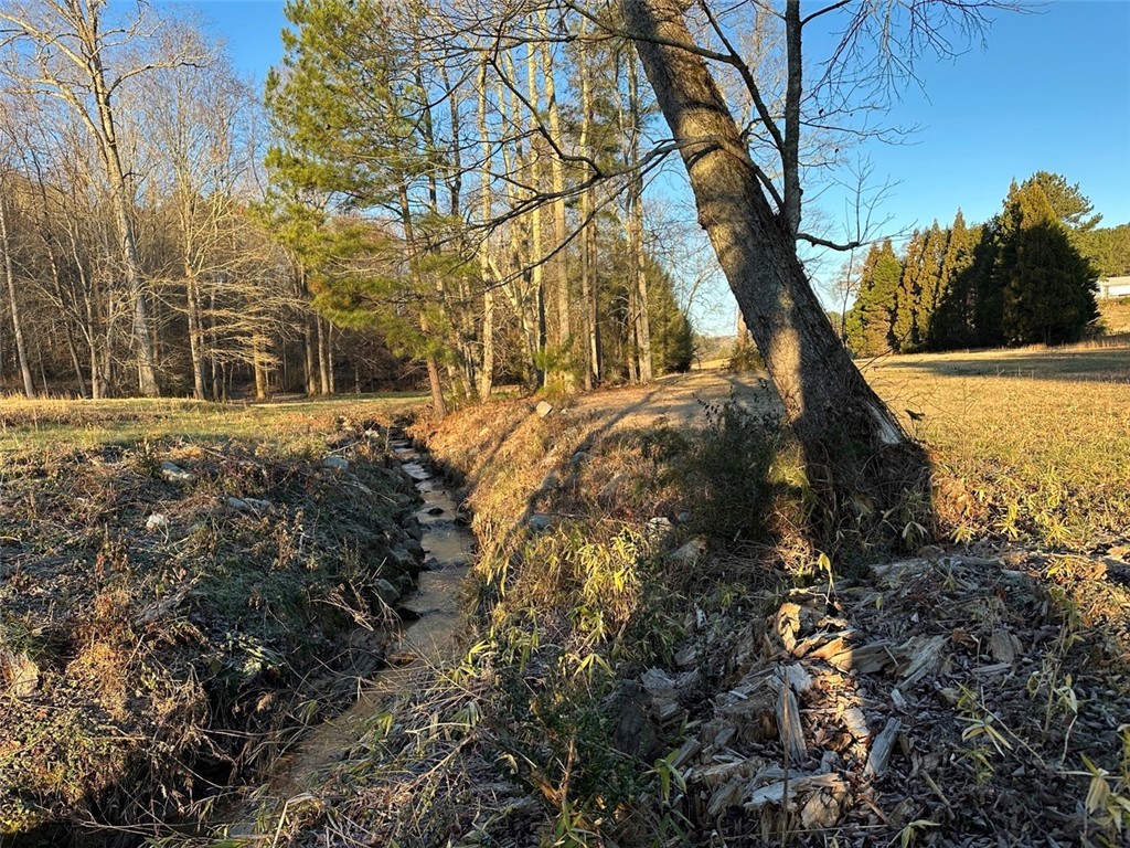 2539 Highway 28/blue Ridge Boulevard Walhalla, SC 29691 - Photo 7 of 36