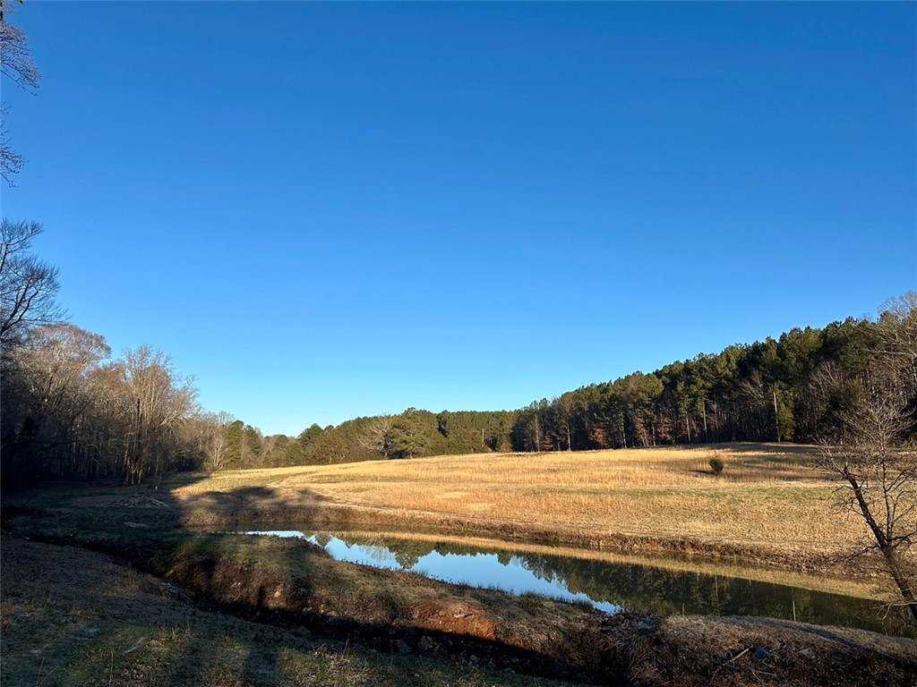 2539 Highway 28/blue Ridge Boulevard Walhalla, SC 29691 - Photo 8 of 36